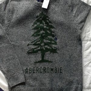 Abercrombie & Fitch Sweater Sweatshirt